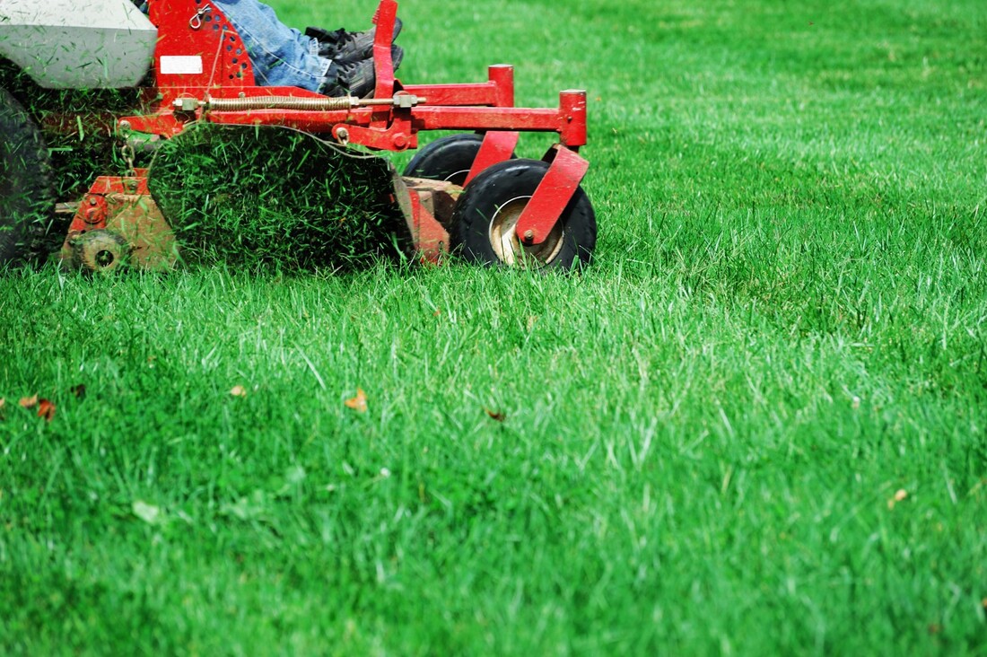 An image of Lawn Mowing and Maintenance in Palatine, IL