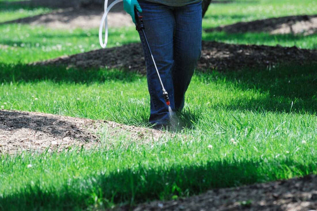 An image of Weed Control in Palatine, IL