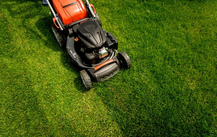 An image of Lawn Mowing and Maintenance in Palatine, IL